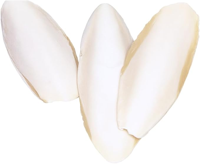 Cuttlebone 3-Pack Natural Calcium Supplement for Isopods, Birds, Parakeets, Cockatiels, Canaries, Reptiles & Small Pets