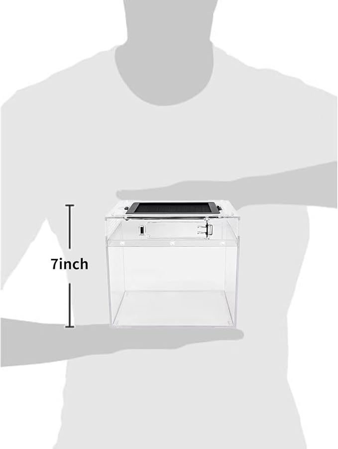 Reptile Growth mini Reptile Terrarium,8" x 8"x 8" Reptile Tank with Full View Visually Appealing，for Insect，Fish，Tarantula，Hermit Crab，Jumping Spider，Iguana，Tortoise，Leopard Gecko，Frog，Bearded Dragon