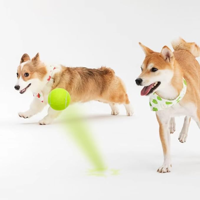 3-Pack Tennis Ball Dog Toys with Squeaker, Interactive Fetch Play for Pets 40 lbs and Over ，Training Balls for Indoor & Outdoor Exercise, 3.28-inch (Sound Ball, 12PCS)