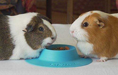 Tip-Proof Ergonomic Pet Bowl for Guinea Pig and Other Small Pets; 1/4-Cup Size; Sky Blue
