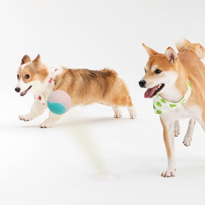 3-Pack Tennis Ball Dog Toys with Squeaker, Interactive Fetch Play for Pets 40 lbs and Over ，Training Balls for Indoor & Outdoor Exercise, 3.28-inch (Pink Blue, 18PCS)