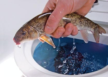 Baitfish Enhancement and Keeping Formula Additive for Minnow Buckets, Livewells and Bait Tanks. Keeps Holding Fish Alive Longer, Healthier, and Improves Performance Levels.