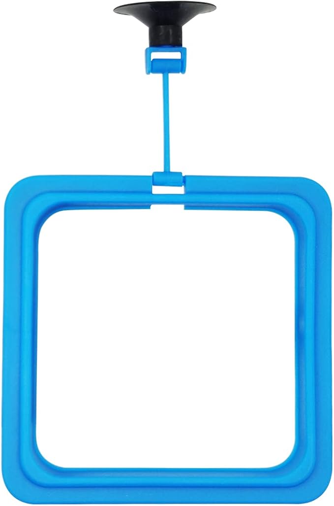 Fish Feeding Ring Floating Food Feeder Circle with Suction Cup Easy to Install Aquarium (Square)