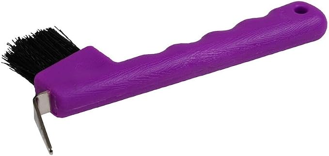 ROMA Brights Hoof Pick, Turquoise