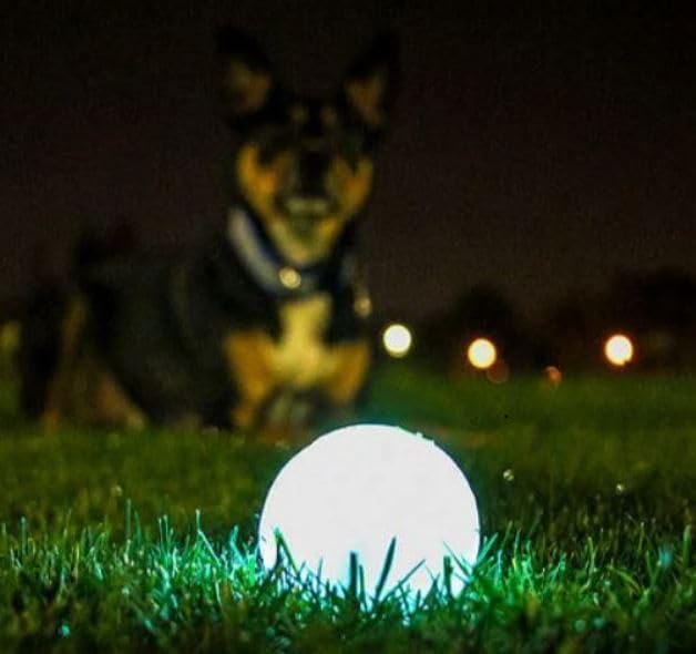 Chuckit! Glow in the Dark Bouncy Ball for Dogs, Chuckit Dog Toy, Max Glow Balls - Large, 3 Inch, Pack of 1