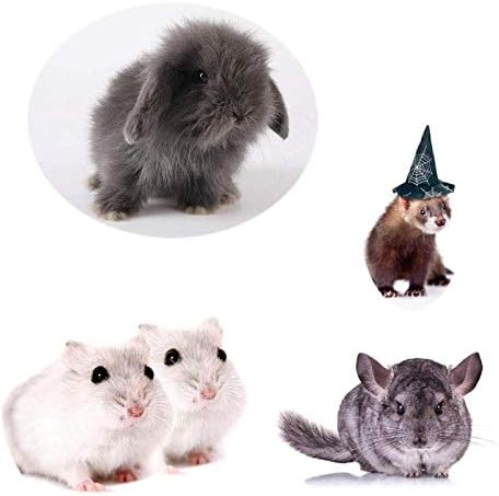 Small Animals Bowl, Detachable Cage Feeder Pet Ceramic Water & Food Feeder, Small Animal Supplies for Rabbit Parrot Squirrels Chinchilla Hamster Ferret (White, M)
