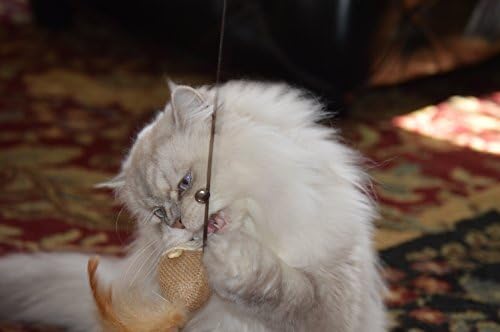 Cat Teaser Wand Toys - Plus 2 Wool Felt Ball Toys, Sisal Mice with Bell, Feather, Elastic String, Sturdy Wood Stick, Interactive Fun, Kitten Catcher Mouse Cat Toy