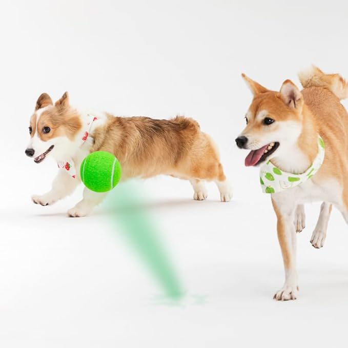 3-Pack Tennis Ball Dog Toys with Squeaker, Interactive Fetch Play for Pets 40 lbs and Over ，Training Balls for Indoor & Outdoor Exercise, 3.28-inch (Green, 12PCS)