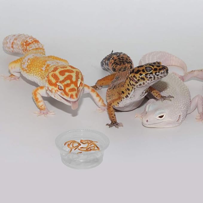 SLSON Small Gecko Food and Water Cups 100 ct Plastic Feeder Cups for Reptile Feeding Bowls for Crested Gecko Lizard and Other Small Pet, 0.5 oz