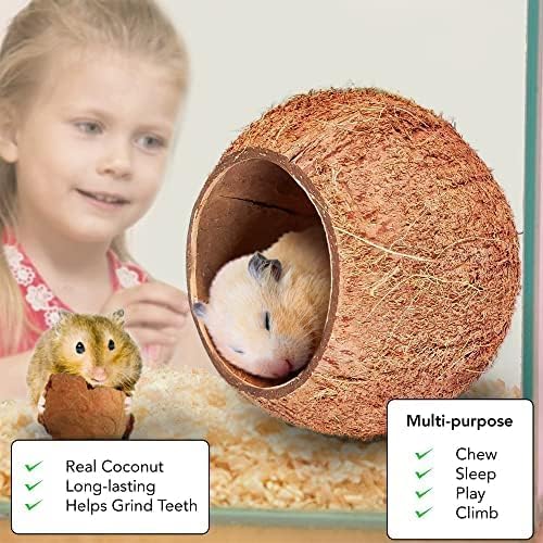 SunGrow Coconut Shell House for Gecko, Snake & Ball Python, Raw Coco Husk, Pet Hiding House, Climber or Chew Toy, for Reptiles, Amphibians (Coco Bowl)