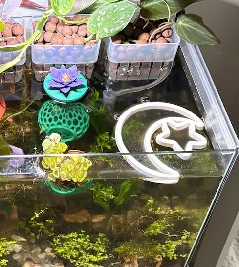 Fish Feeding Portal for Betta & Aquariums | Floating Food Ring & Breathing Window (Moon) (White)