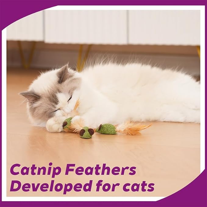 10 Pack Mouse Catnip Toy with Feather,Catnip Ball Interactive Catnip Mice for Chasing, Hunting, Exercising and Cleaning Teeth