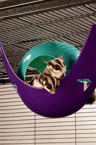 Exotic Nutrition Nap Nook - Unique Nest Pod Cage Accessory Toy - Use Grounded or Hanging - Sugar Gliders, Hamsters, Mice, Rats, Birds, Degus, Chinchillas, & Other Small Pets (Small)