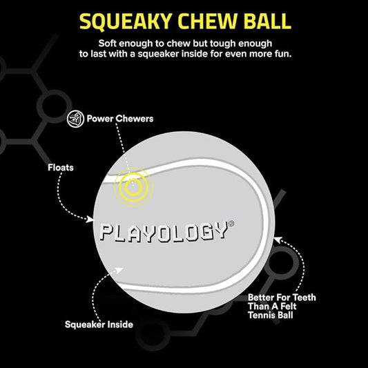 Playology Dog Toys | Squeaky Chew Ball for Dogs, Value 2-Pack | Chicken Scented Medium Dog Balls | Bouncy Floating Chew Toys for Fetch