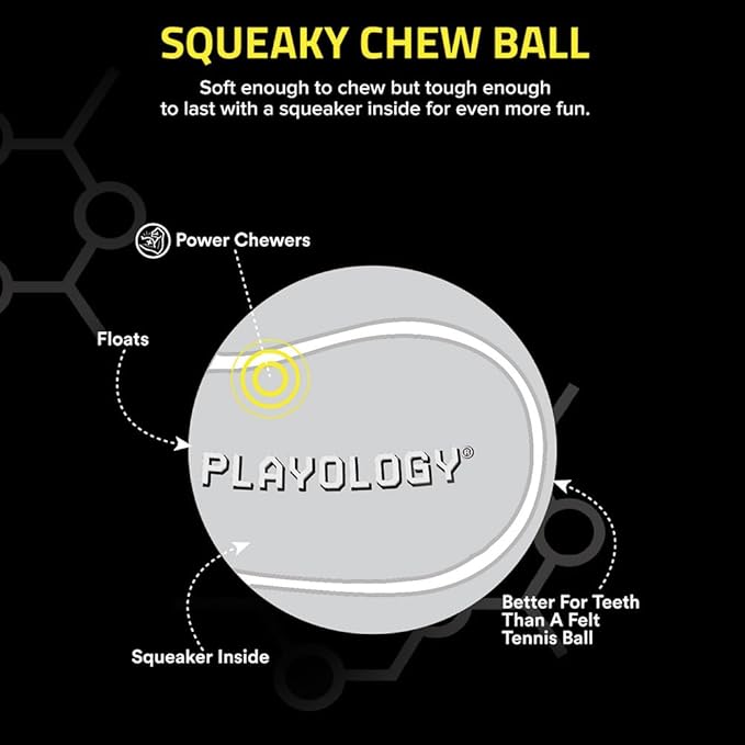 Playology Dog Toys | Squeaky Chew Ball for Dogs, Value 2-Pack | Beef Scented Medium Dog Balls | Bouncy Floating Chew Toys for Fetch