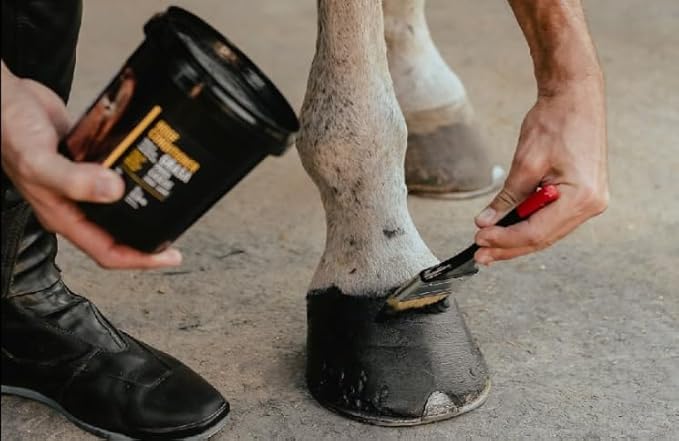 Equi Care Hoof Conditioner. Maintain Strong and Healthy Hooves, Helps with Dry, Cracked Hooves or Simply Looking to Maintain Optimal Hood Health. (34 Oz)