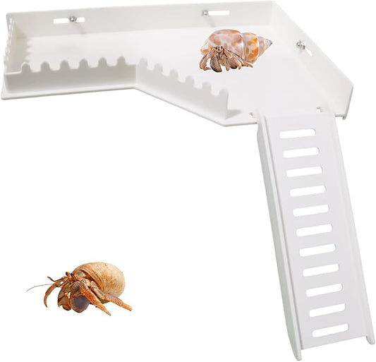 No-Drill Climbing Platform with Ramp, Hermit Crab Climbing Wall & Hideout, Multi-Level Platform with Ladder, No-Tools Mounting for Geckos, Small Lizards, Hamsters