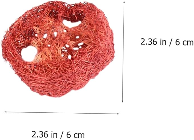 COLLBATH 6 Pcs Large Hamster Loofah Chew Lotus Root Slice Shape Pet Chewing for Rabbits and Small Animals Natural Molar Care Tools for Teeth Cleaning and Oral Health Random Color