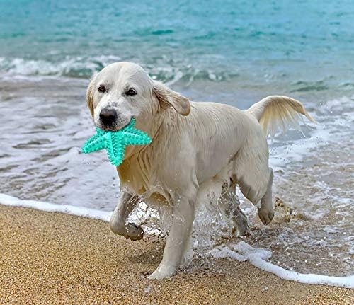 Squeaky Chew Toy - Starfish Water Floating Toy for Dogs, Natural Tooth Brush Teeth Cleaning for Small Medium Dogs - Blue