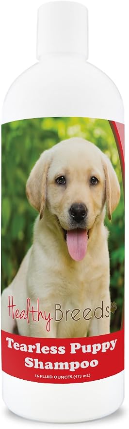Healthy Breeds Havanese Tearless Puppy Dog Shampoo 16 oz