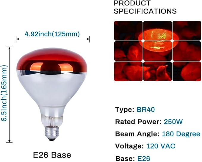 3 Pack 250W Heat Lamp Bulbs for Chicks, R40 Brooder Heat Lamp for Chickens, Infrared Reflector Heat Bulbs for Brooder Heater, Incandescent Heating Bulb for Pet, Bathroom, Food