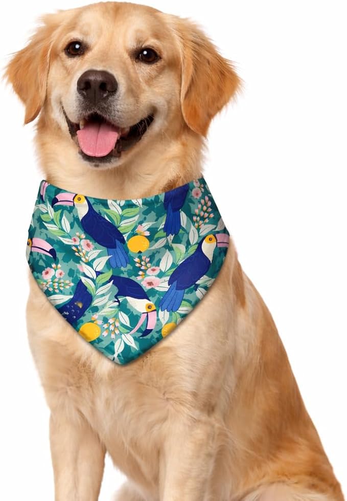 Luxury Satin Dog Bandana – Slip-On Collar Style, Premium Pet Scarf for Medium, Large & XL Dogs – Special Occasion Accessory (Collar Not Included) (Medium - Extra Large, Toucan (O) Luxe - Satin)