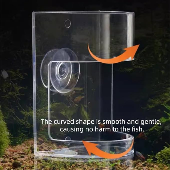 Acrylic Floating Fish Tank Feeder, Clear Arc-Shaped Aquarium Food Dispenser with Suction Cup, Prevents Water Turbidity and Food Settling