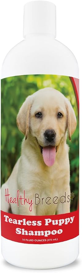 Healthy Breeds Labrador Retriever Tearless Puppy Dog Shampoo 16 oz