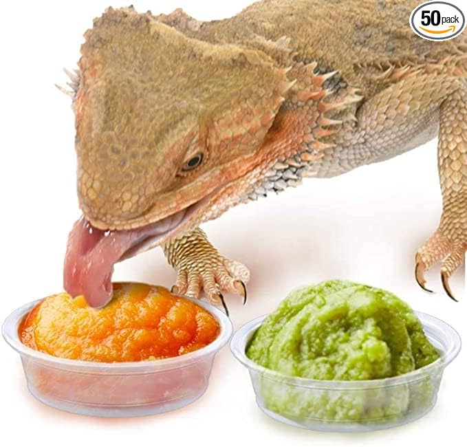 SunGrow Reusable Gecko Food & Water Cups, 50 Pcs, 0.5 Oz Recyclable Plastic Bowls, Fits Small Stands & Feeders, Durable & Easy to Clean, Ideal for Reptiles - in Resealable Bag