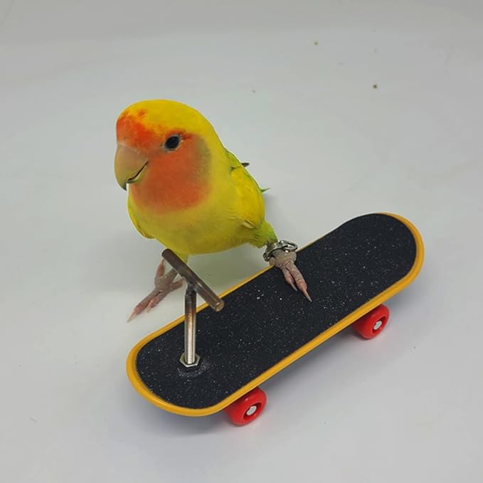 Skateboard Bird Toys, Parrot Training Trick Props, Bird Intelligence Educational Toys for Parakeet, Conures, Cockatiels