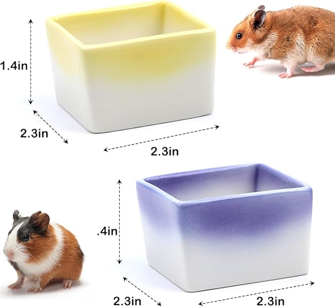 2 Pack Small Pet Ceramic Food Bowl and Water Dish Anti-Turning Cute Feeder for Hamster Guinea Pig Hedgehog Squirrel Rat (Purple and Yellow