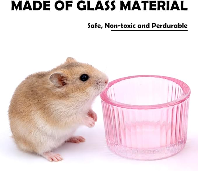 2 Pack Hamster Bowl Glass Food and Water Dish Anti-Turning Colorful Feeder for Dwarf Syrian Hamster Gerbil Mice Rat (Random Color)