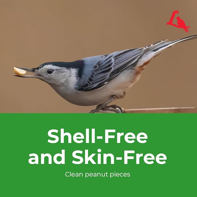 Lyric Sunflower Kernels No Waste Wild Bird Seed 25 lb Peanut Pieces - Shelled Peanuts for Wild Birds 15 lb - Perfect for Your Backyard Feeders