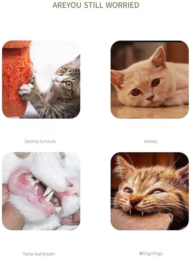 Cat Teaser Wand Toy for Indoor Cats, Cute Mesh Snake & Crinkle Plush Fabric Kitten Wand Kitty Toys Interactive Play Chase Exercise Wand String Toys Cat Toys for All Breed Sizes (Yellow,14.57+30.7inch)