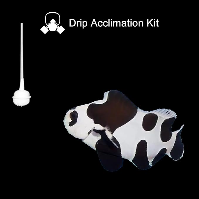 Bubble Magus Drip Acclimation Kit for Saltwater and Freshwater Aquariums, Fish Tanks, Ensure Smooth Transition for Coral, Shrimp, Marine Fish, Navigation System Live Koi Fish, Plant Decor Security