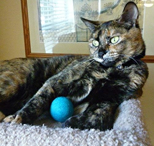 Cat Teaser Wand Toys - Plus 2 Wool Felt Ball Toys, Sisal Mice with Bell, Feather, Elastic String, Sturdy Wood Stick, Interactive Fun, Kitten Catcher Mouse Cat Toy