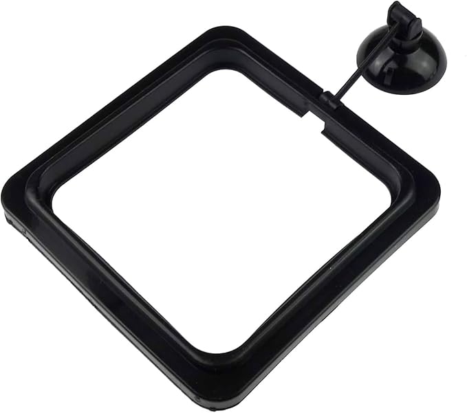 5PCS Fish Feeder Floating Square Suction Cup Feeding Ring Plastic and Rubber 3.15x3.15 Inches for Aquarium Accessories Black