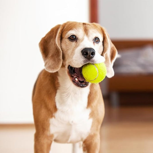 3-Pack Tennis Ball Dog Toys with Squeaker, Interactive Fetch Play for Pets 40 lbs and Over ，Training Balls for Indoor & Outdoor Exercise, 3.28-inch (Sound Ball, 18PCS)