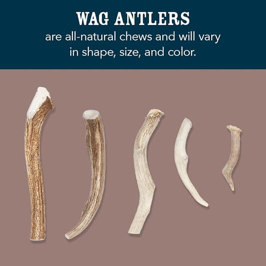 Amazon Brand - Wag Split Elk Antler, Naturally Shed, Long Lasting for Aggressive Chewers, X-Large (Best for Dogs Over 45 lbs) (Pack of 4)