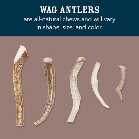 Amazon Brand - Wag Split Elk Antler, Naturally Shed, Long Lasting for Aggressive Chewers, Medium (Best for Dogs 15-30 lbs)