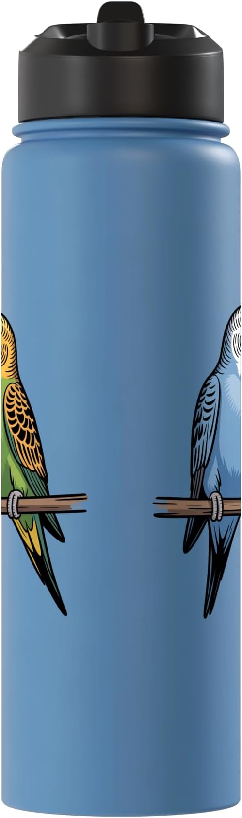 Parakeet Couple Cute Budgie Bird Lovers Art Stainless Steel Insulated Water Bottle