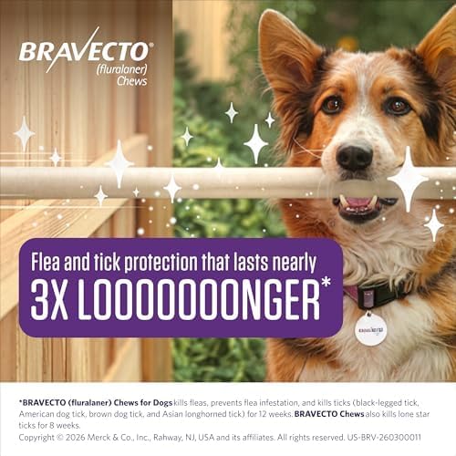 BRAVECTO Chew for Dogs, Flea & Tick, 1 Chew, 12 Week Supply, 9.9-22 lbs., Orange Box