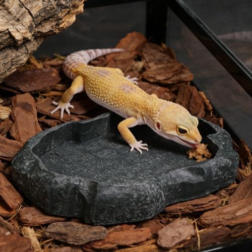 Resin Rock Reptile Food and Water Bowl, Terrarium Dish for Bearded Dragon, Leopard Gecko, Lizard, Tortoise Feeder Accessories