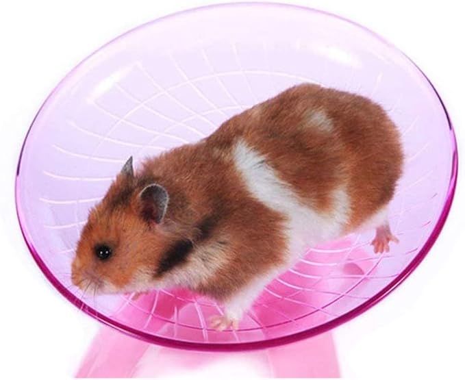 Hamster House Wood Bridge Climb Kit Exercise Wheel Jogging Running Silent Spinner Flying Saucer Pet Toys for Rat Gerbil Guinea Pig Chipmunk Mouse Small Animals