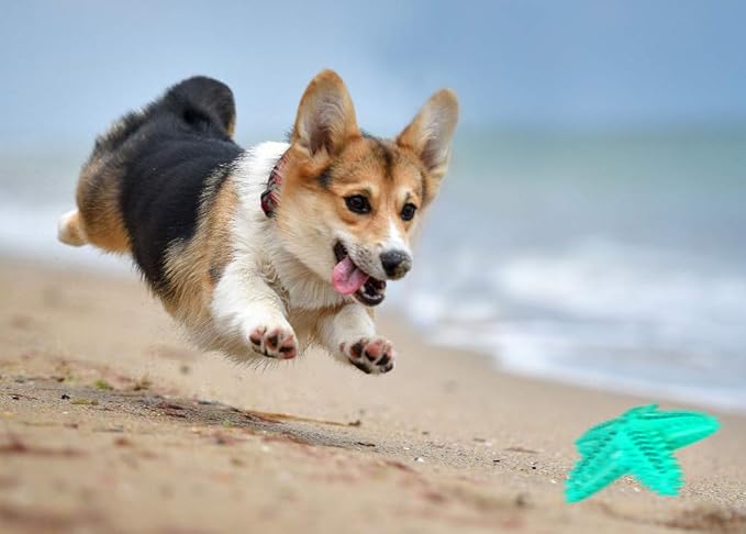 Squeaky Chew Toy - Starfish Water Floating Toy for Dogs, Natural Tooth Brush Teeth Cleaning for Small Medium Dogs - Blue