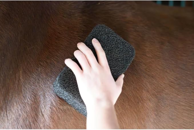 Epona Tigers Tongue Horse Groomer & The Queens Brush Set - Grooming Scrubber Sponge & Hair Brush for Removing Dirt & Dander on Horse's Mane & Tail - for Equestrians and Horse Owners, with E-Book