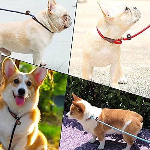 MayPaw Slip Lead Control Leash for Dogs No Pull, 13+ Colors Classic 7 FT Pet Dog Slip Leash, 1/4” Rope Leashes for Small Medium Animals (7ft*1/4", Dark Blue)