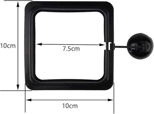 5PCS Fish Feeder Floating Square Suction Cup Feeding Ring Plastic and Rubber 3.15x3.15 Inches for Aquarium Accessories Black