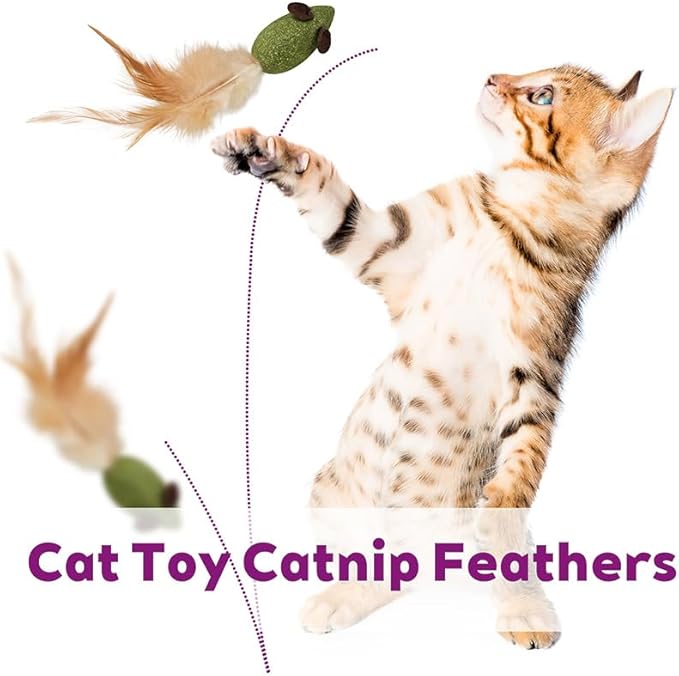 10 Pack Mouse Catnip Toy with Feather,Catnip Ball Interactive Catnip Mice for Chasing, Hunting, Exercising and Cleaning Teeth
