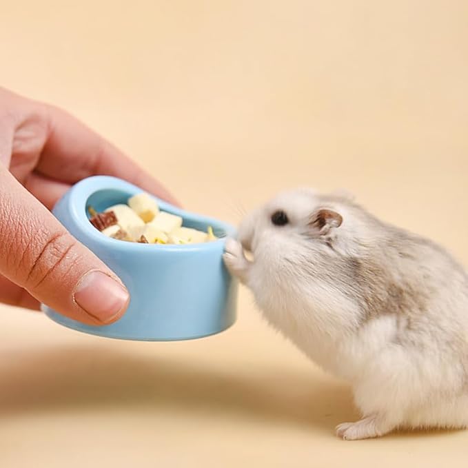 4 Pack Hamster Bowl Dwarf Feeding Bowls Food Water Feeder Dish for Robo Syrian Hamsters Hammies Mice Gerbils Degus Hedgehog Small Animals Pet